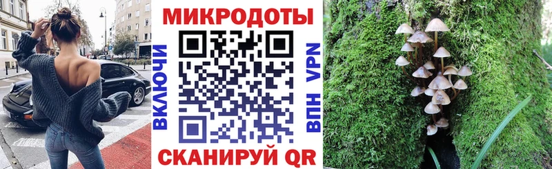 Купить где  Сунжа  Галлюциногенные грибы MAGIC MUSHROOMS 